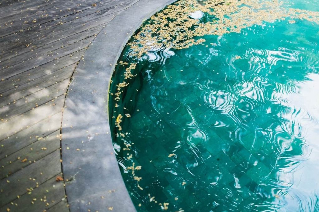 Un recogehojas es ideal para limpiar la superficie de tu piscina