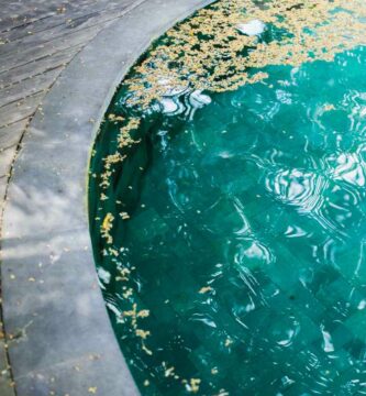 Limpiar piscina verde sin vaciar